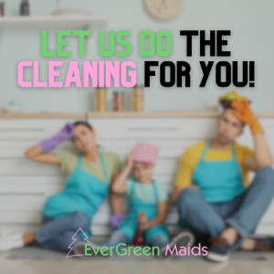 house cleaning service Philadelphia PA